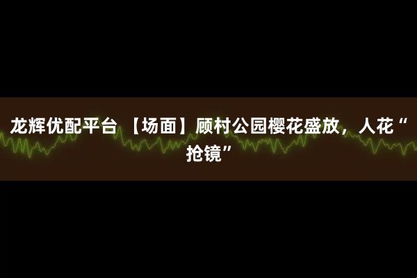 龙辉优配平台 【场面】顾村公园樱花盛放，人花“抢镜”